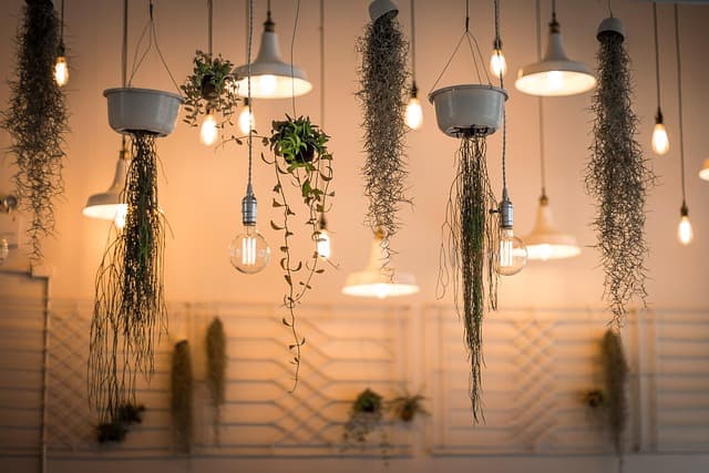 Comment créer une ambiance vintage avec des antiquités